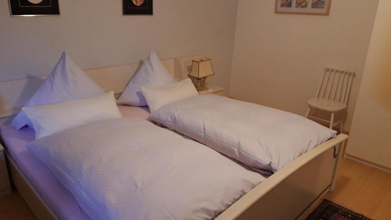 Ferienwohnung Neckarblick Χαϊδελβέργη Εξωτερικό φωτογραφία