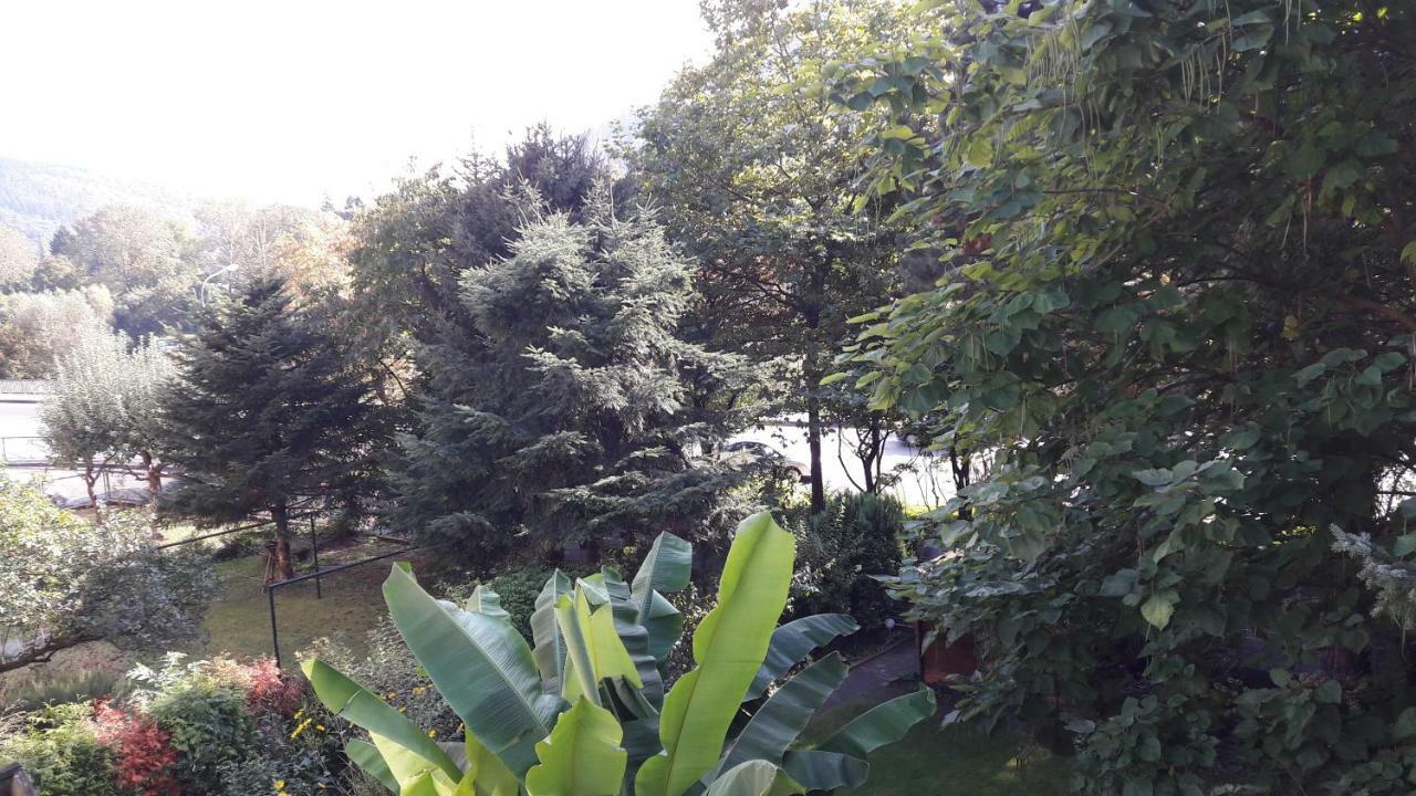 Ferienwohnung Neckarblick Χαϊδελβέργη Εξωτερικό φωτογραφία