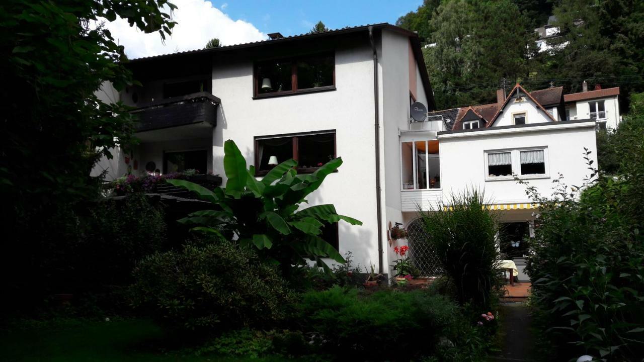 Ferienwohnung Neckarblick Χαϊδελβέργη Εξωτερικό φωτογραφία