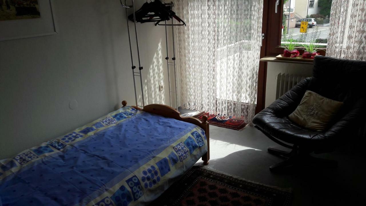 Ferienwohnung Neckarblick Χαϊδελβέργη Εξωτερικό φωτογραφία